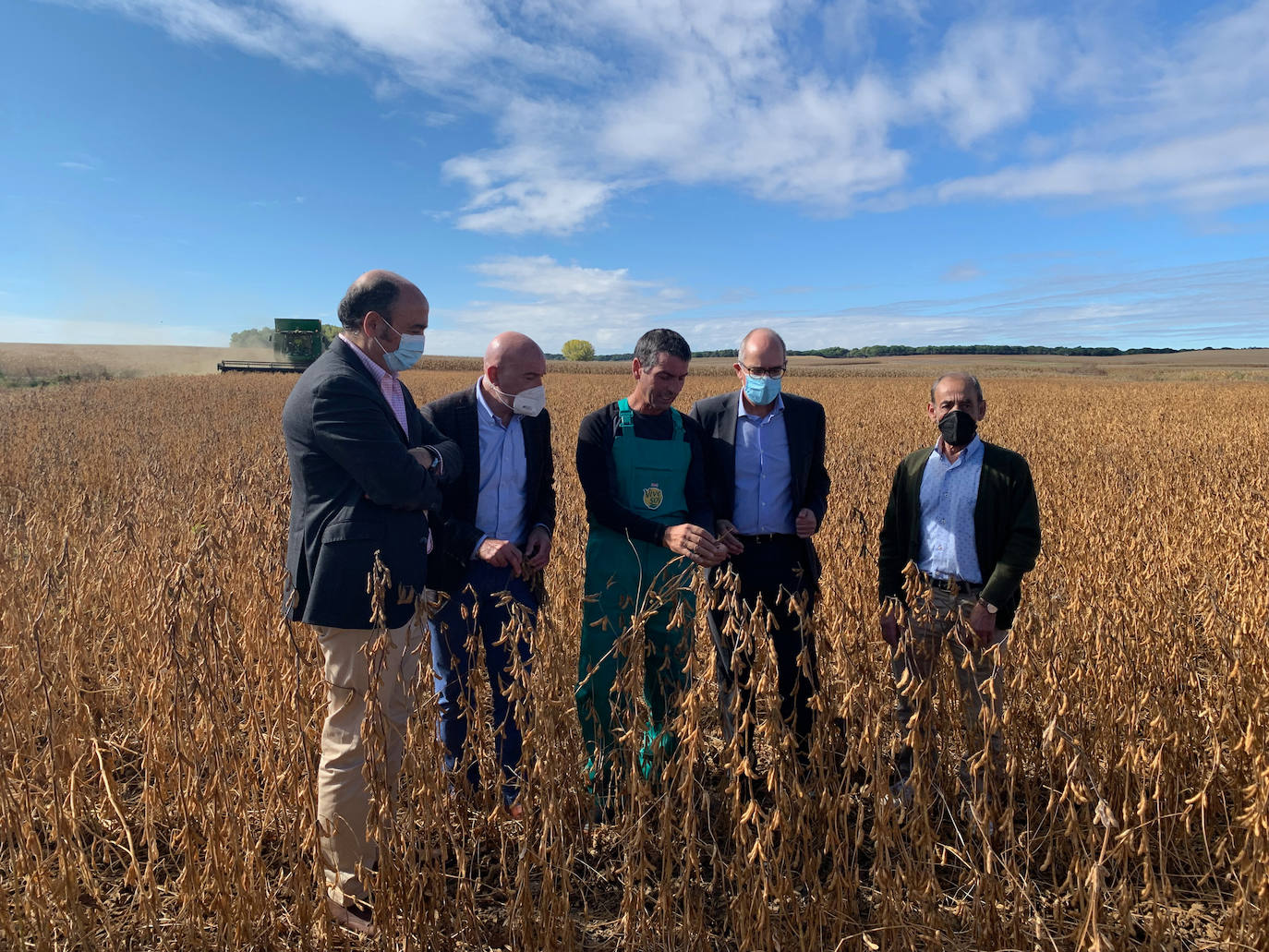 El consejero de Agricultura, Jesús Julio Carnero, visita un cultivo de soja en Arabayona de Mógica (Salamanca)