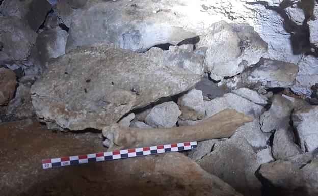 Imagen principal - Arriba, restos humanos de astures masacrados por los romanos.; a la izquierda, restos líticos hallados en un abrigo rupestre de 25.000 años de antigüedad; a la derecha, Alfonso Fanjul y María Amor Álvarez, con la punta de lanza de la edad del bronce. 
