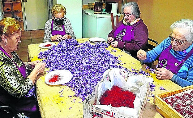 Abuelas de Calamocha, en Teruel, compiten entre ellas para mondar la rosa. 