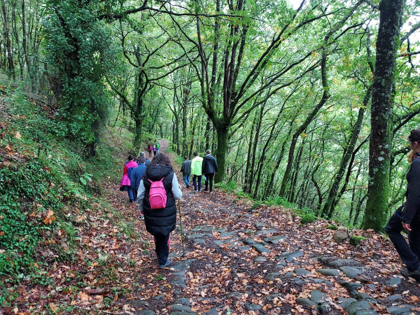 Fotos: IV Marcha Camino de Invierno