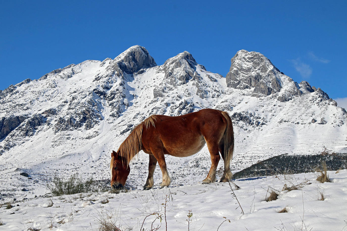 La primera nevada de la temporada cubre cumbres y valles en la comarca de la Tercia.