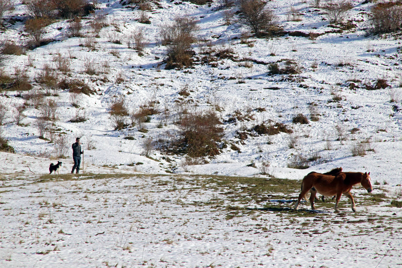 La primera nevada de la temporada cubre cumbres y valles en la comarca de la Tercia.