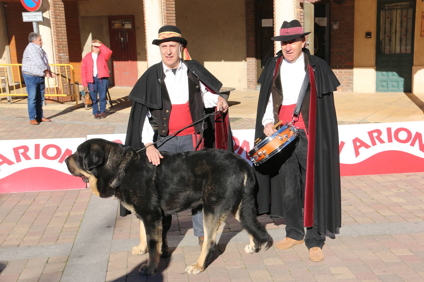 El municipio leonés acoge a cerca de cien perros de esta raza en un concurso que cumple 30 ediciones.