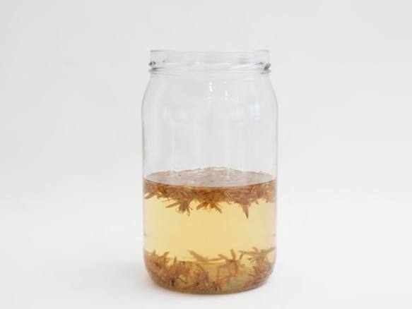 La artista asturiana Sara García desarrollará el proyecto 'Fuegos de alto grado' al ganar la primera convocatoria de NUDO/KNOT 2021 para investigadores y creadores de l Fundación Cerezales y Cinia y la Diputación de León | El proyecto que se imponía entre 50 propuestas cuenta con 6.000 euros y una estancia de nueve meses.