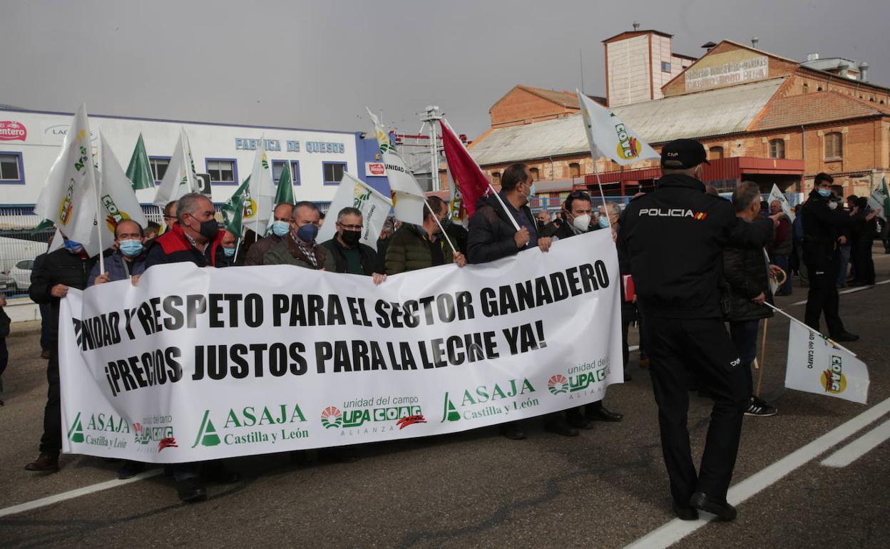 Manifestación celebrada hoy en Zamora. 