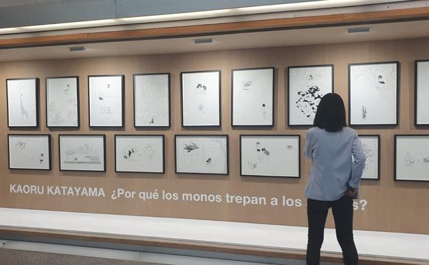 Imagen. Nuevas exposiciones en el Musac