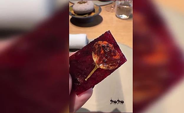 Cristina Pedroche disfruta junto a su marido de unas vacaciones en Copenhague