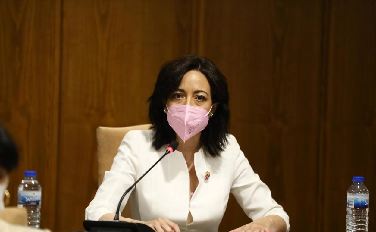 La portavoz de Cs en el Ayuntamiento de Ponferrada y en el Consejo Comarcal.