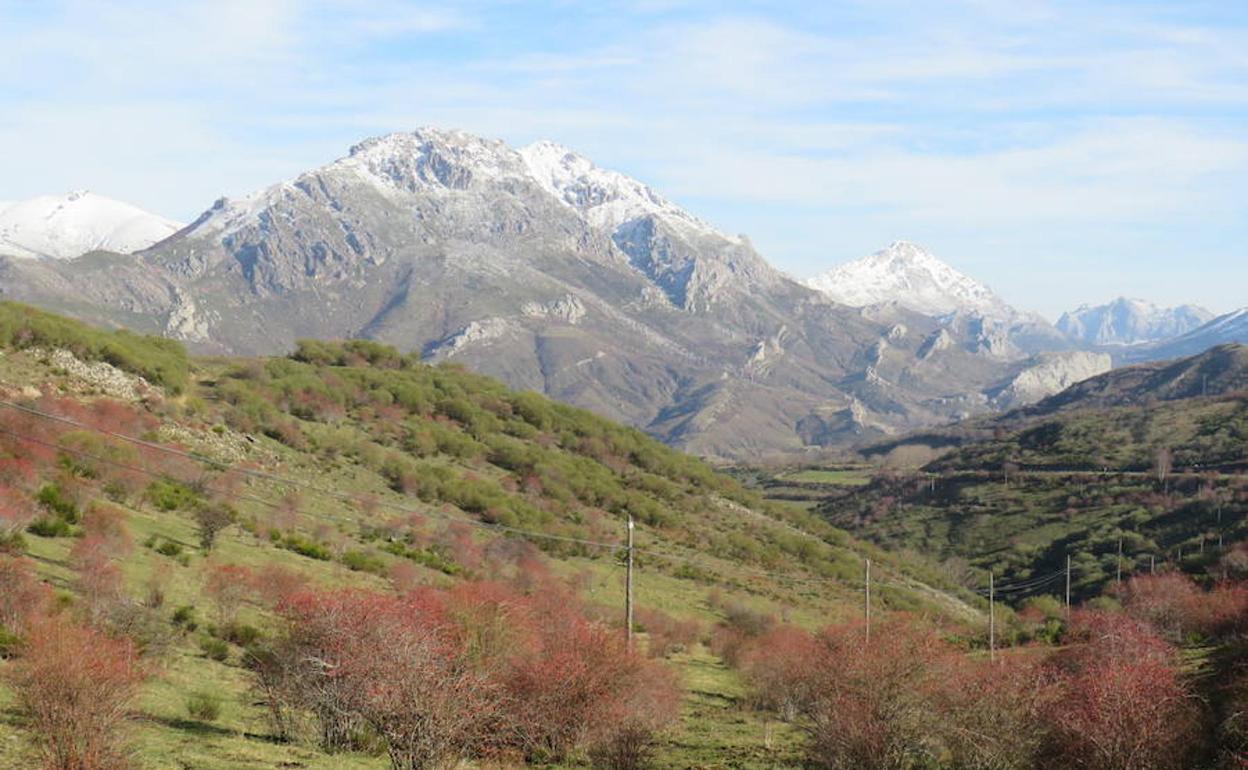 El Alto Bernesga recibe a 15 técnicos forestales hondureños en un programa de intercambio