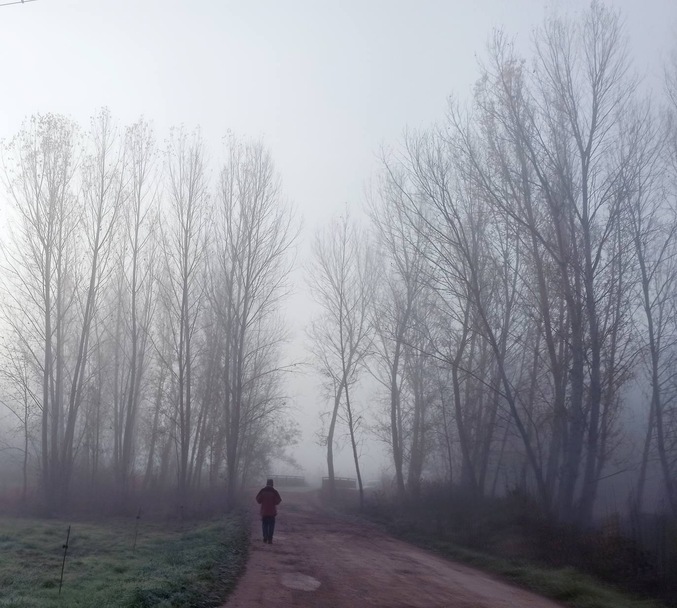 La comarca despierta con una intensa niebla este miércoles.