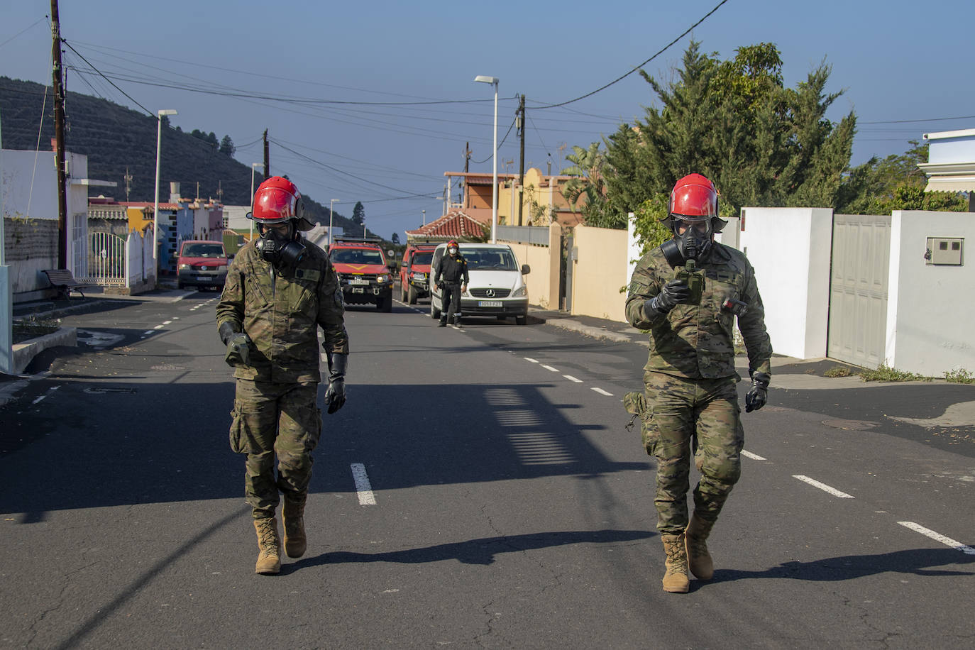 Equipo de la Ume desarrollando trabajos en la isla de Palma.