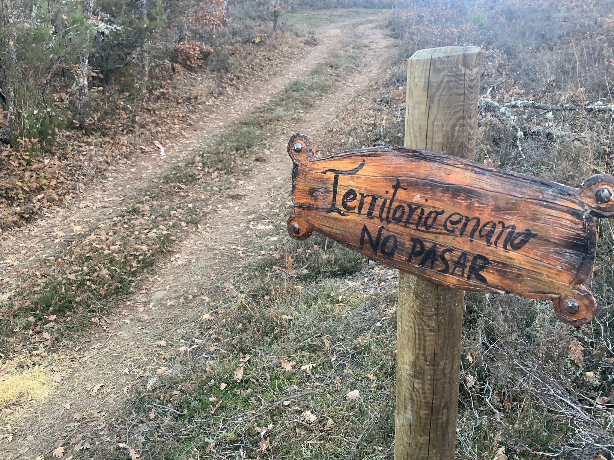 Moscoso, Sabio, Feliz, Gruñón, Tímido, Dormilón y Mudito dan vida al 'Bosque de los enanitos' en la localidad de Almanza | El éxito ha sido tal que las reservas en los establecimientos de la zona se agotan con dos semanas de antelación. 