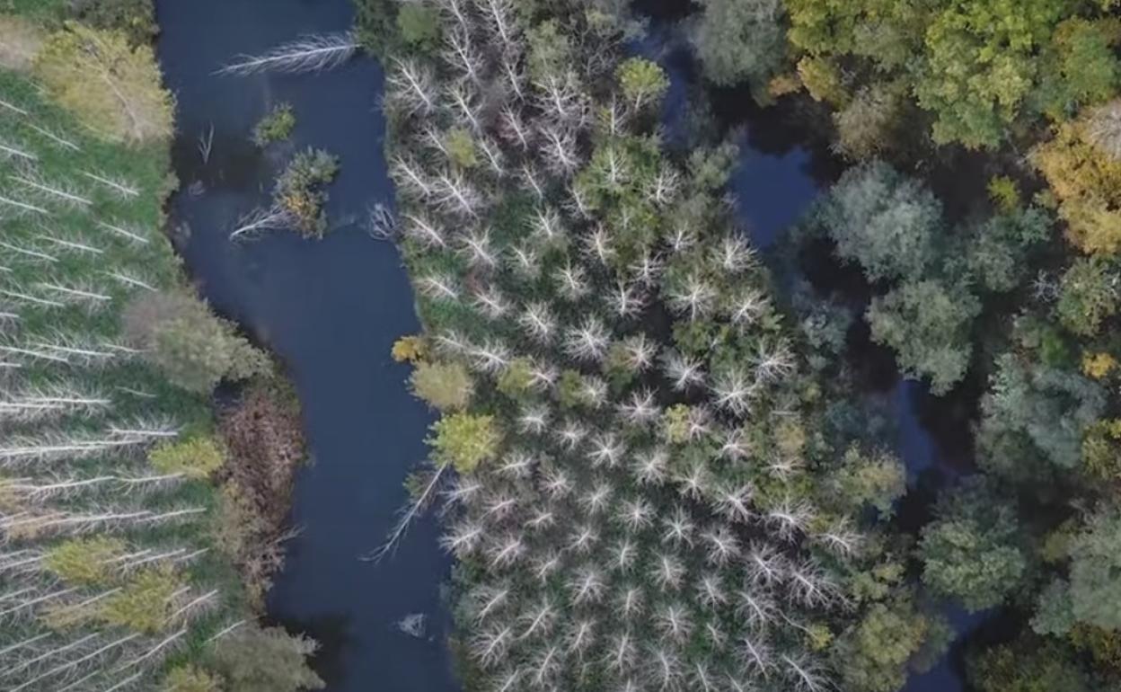 Captura del documental presentado por Corullón en Intur.