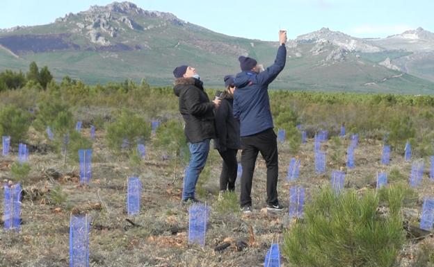 Galería. Algunos de los voluntarios que han participado en la repoblación del bosque quemado en Castrocontrigo gracias a HP y Áreas Verdes.