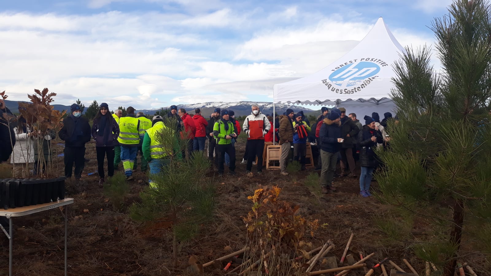 Decenas de personas participan en la plantación de árboles en el área arrasada por el incendio de Castrocontrigo.