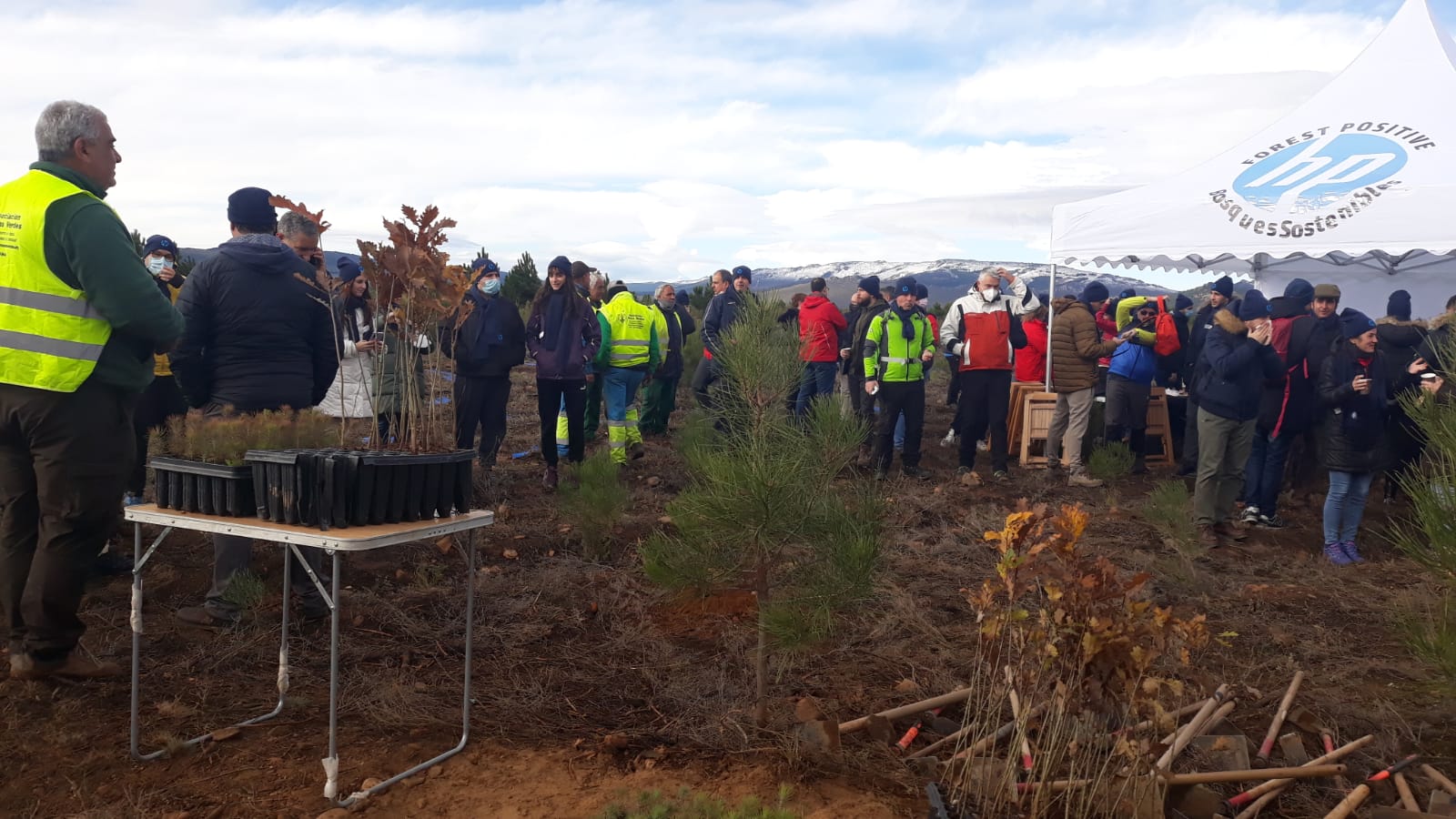 Decenas de personas participan en la plantación de árboles en el área arrasada por el incendio de Castrocontrigo.