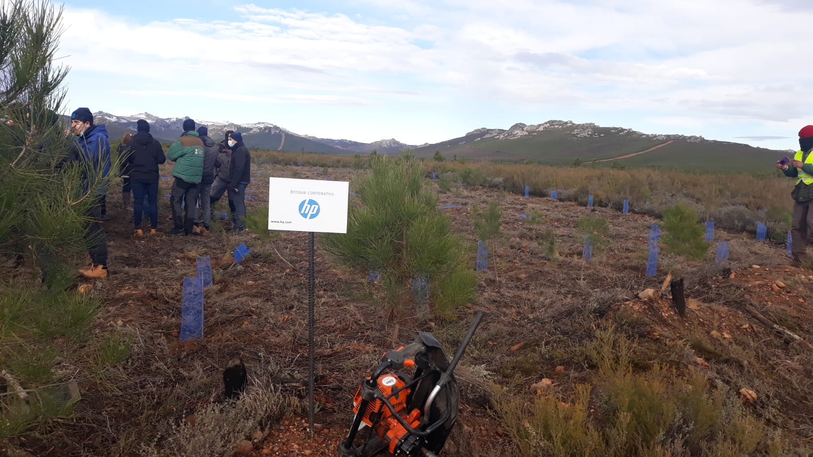 Decenas de personas participan en la plantación de árboles en el área arrasada por el incendio de Castrocontrigo.