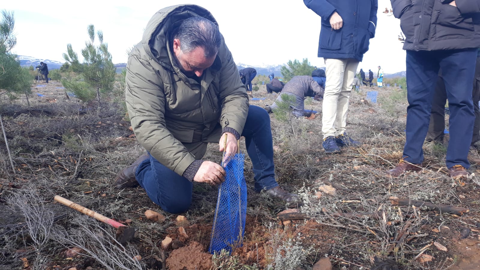 Decenas de personas participan en la plantación de árboles en el área arrasada por el incendio de Castrocontrigo.