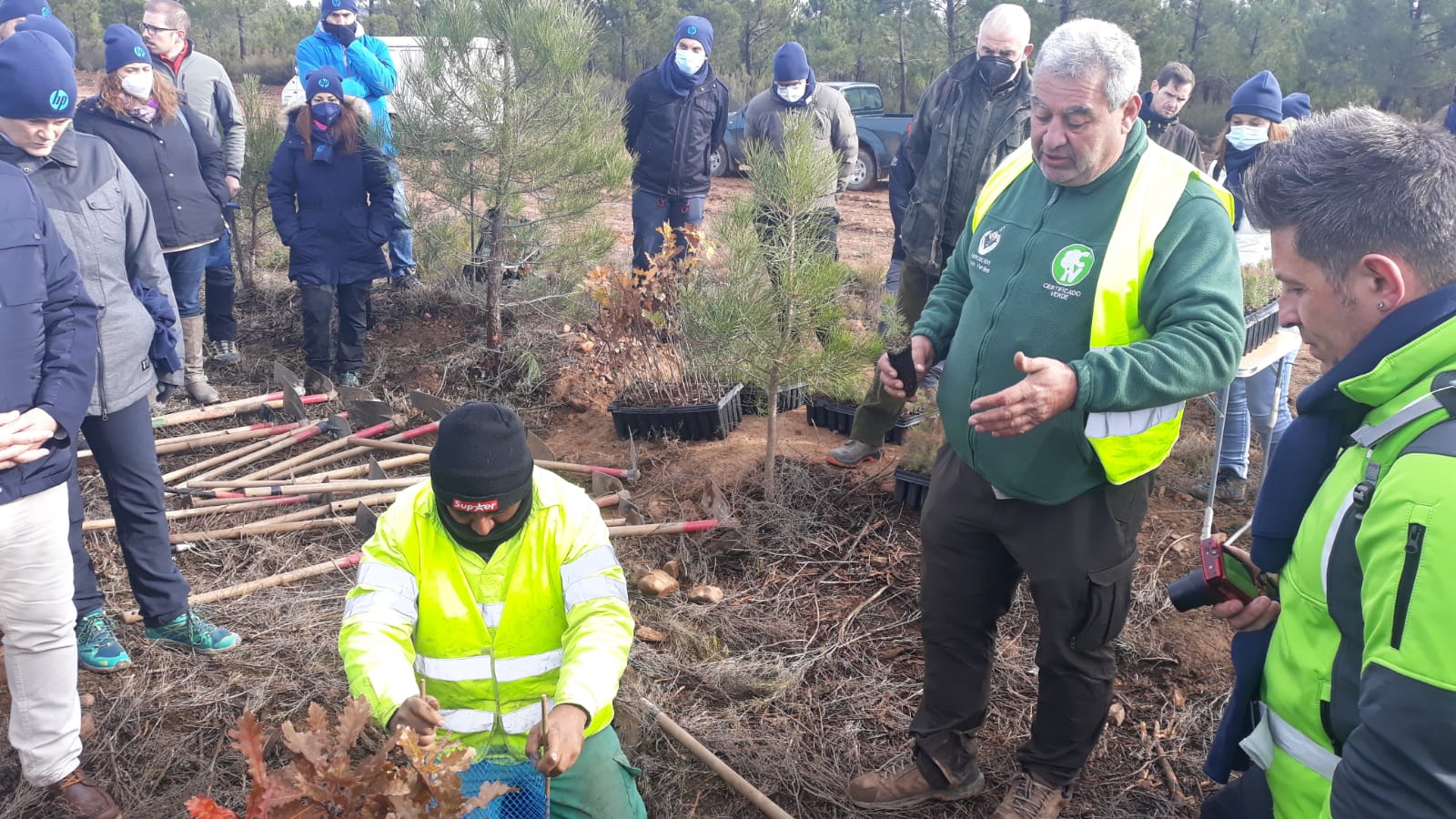 Decenas de personas participan en la plantación de árboles en el área arrasada por el incendio de Castrocontrigo.