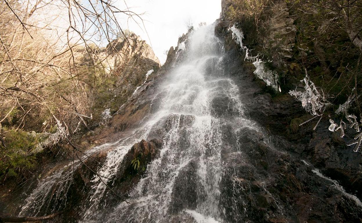 Imagen de la Tebaida Berciana, un área de especial interés turístico y cargada de interés natural.