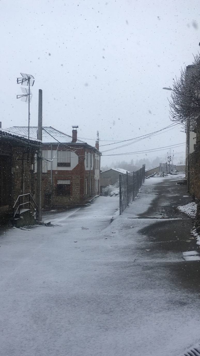 Fotos: Los primeros copos de nieve en León