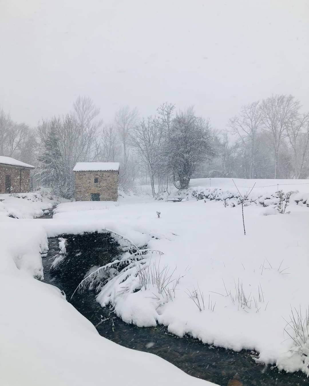 El temporal 'Arwen' deja estampas invernales en toda la provincia con precipitaciones de nieve en muchas comarcas leonesas.