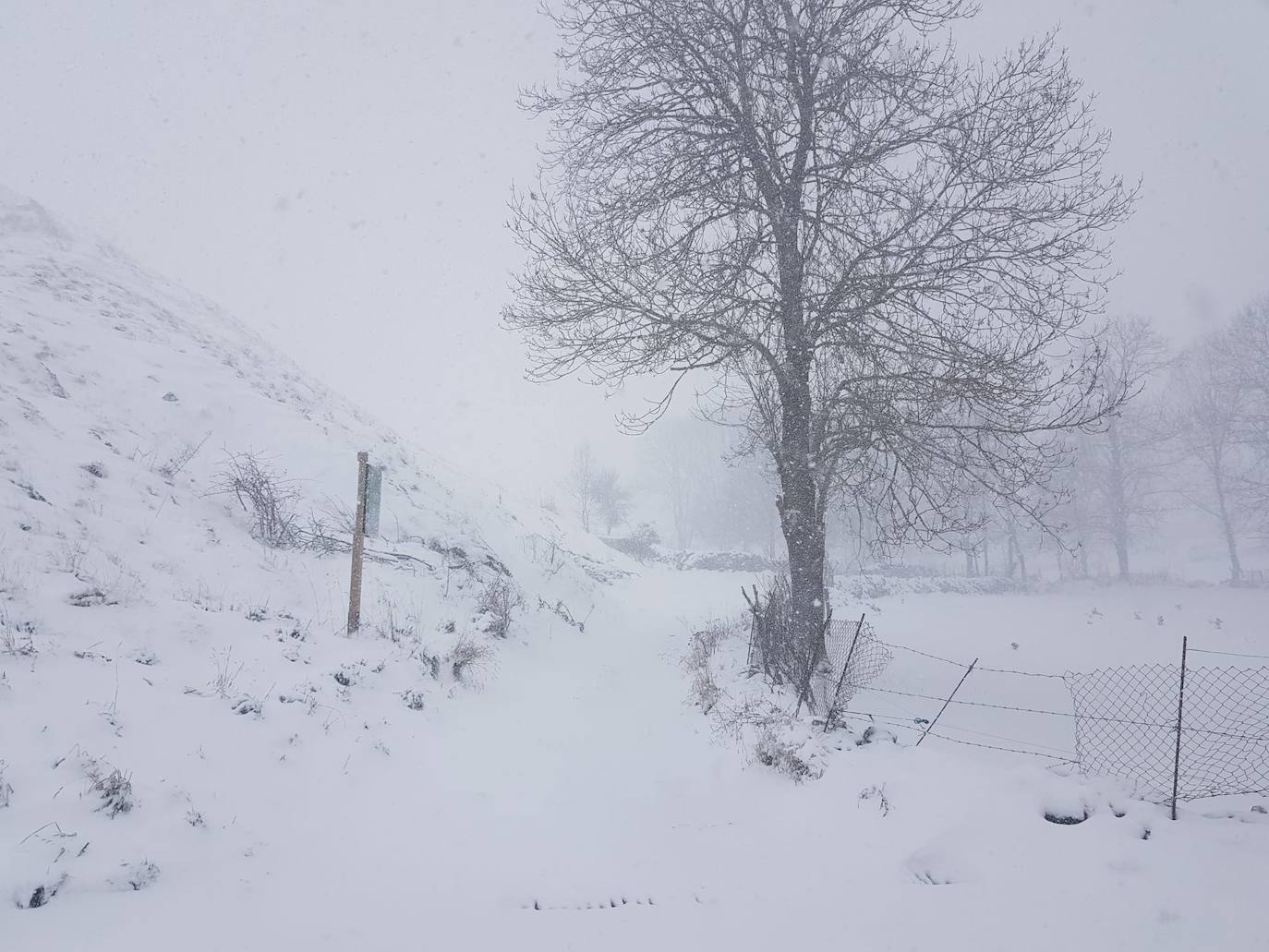 El temporal 'Arwen' deja estampas invernales en toda la provincia con precipitaciones de nieve en muchas comarcas leonesas.