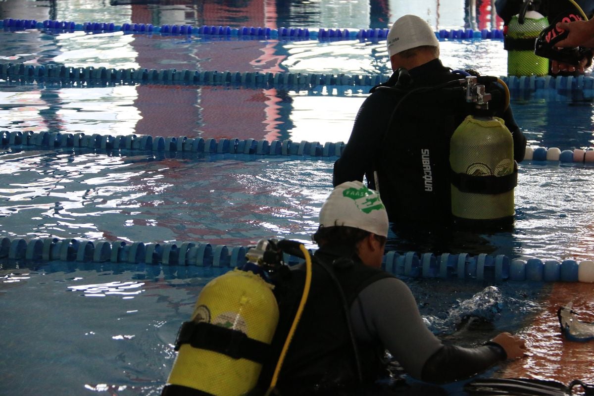 La piscina municipal de Carbajal de la Legua acoge el Campeonato de España de Buceo de Competición.