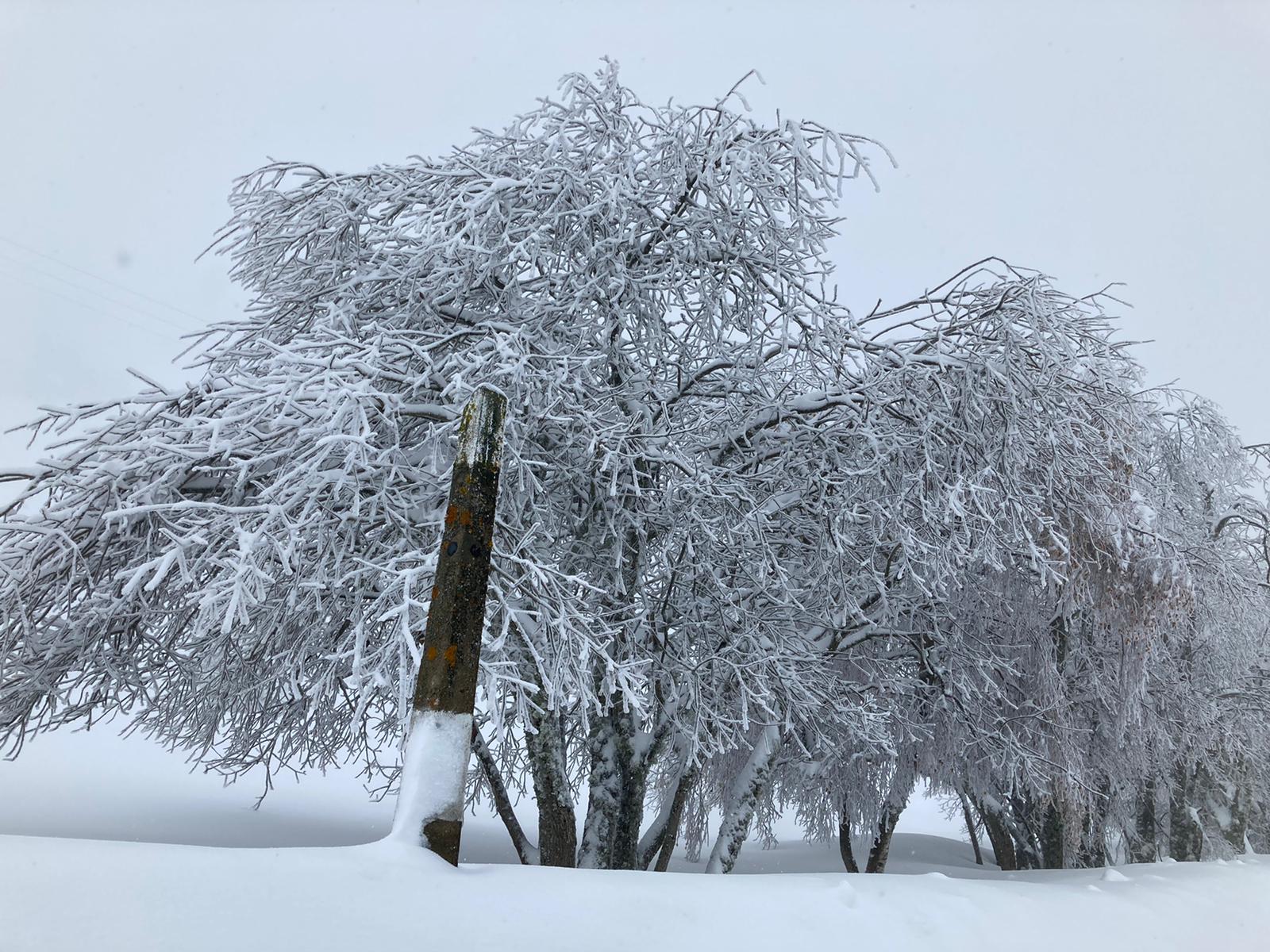 La comunicación de León con Asturias por la nacional deja una estampa invernal con un grueso manto de nieve. 