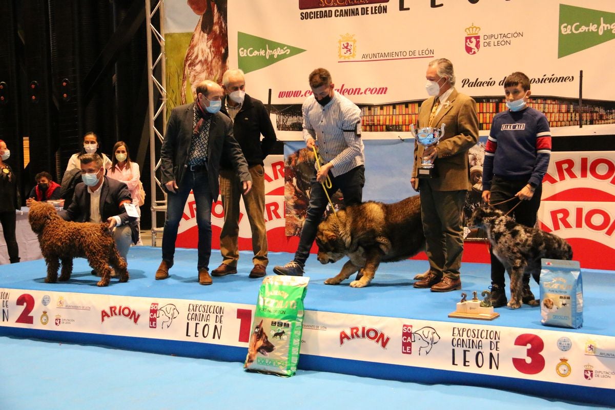 El Palacio de Congresos y Exposiciones ha acogido la XXIII Exposición Internacional Canina durante todo el fin de semana.