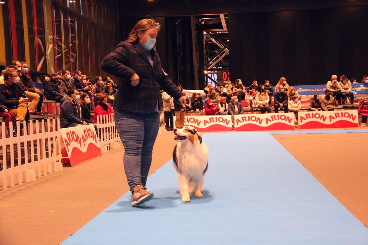 El Palacio de Congresos y Exposiciones ha acogido la XXIII Exposición Internacional Canina durante todo el fin de semana.