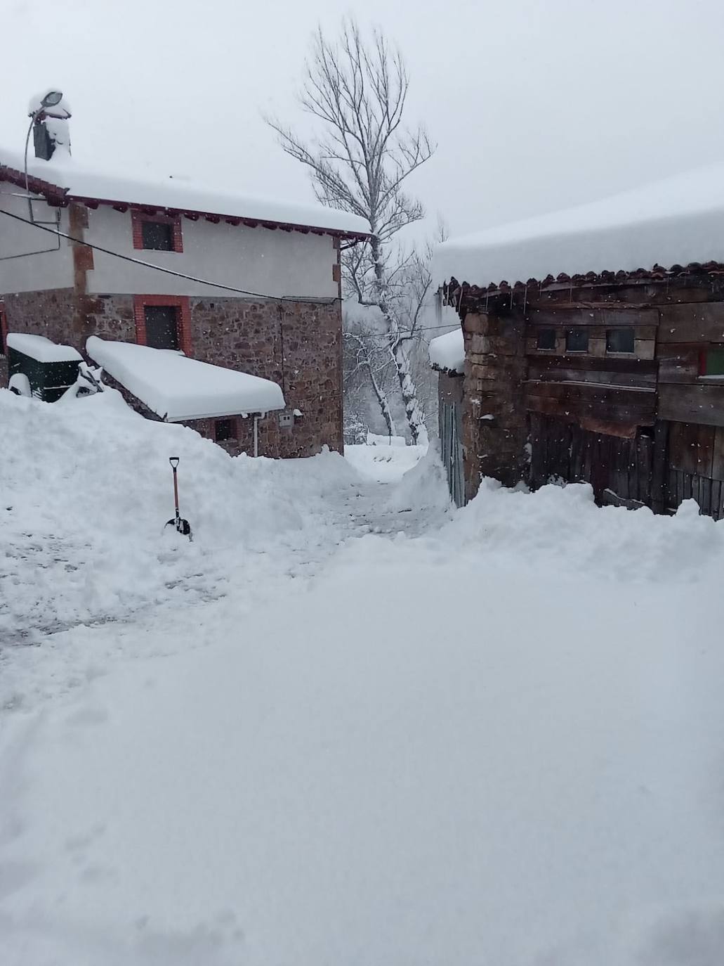 Fotos: Grandes acumulaciones de nieve en Ferreras del Puerto