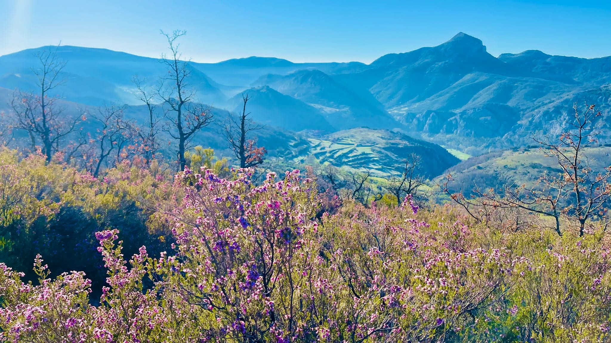 Varios amigos lideran una iniciativa que ha permitido a los amantes del trail disfrutar del entorno del valle de Gordón.