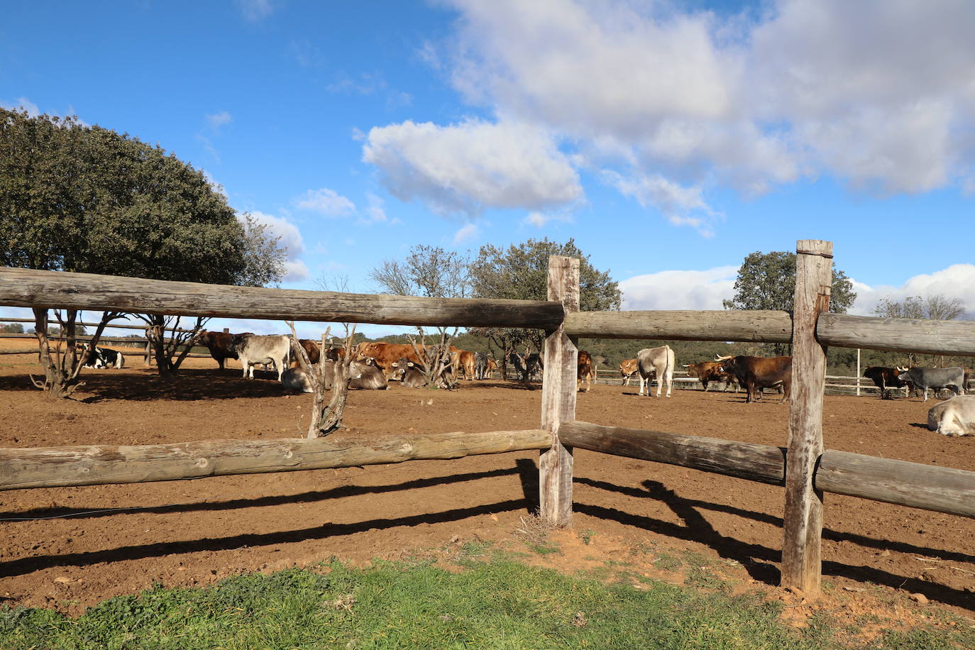 La Bodega El Capricho.