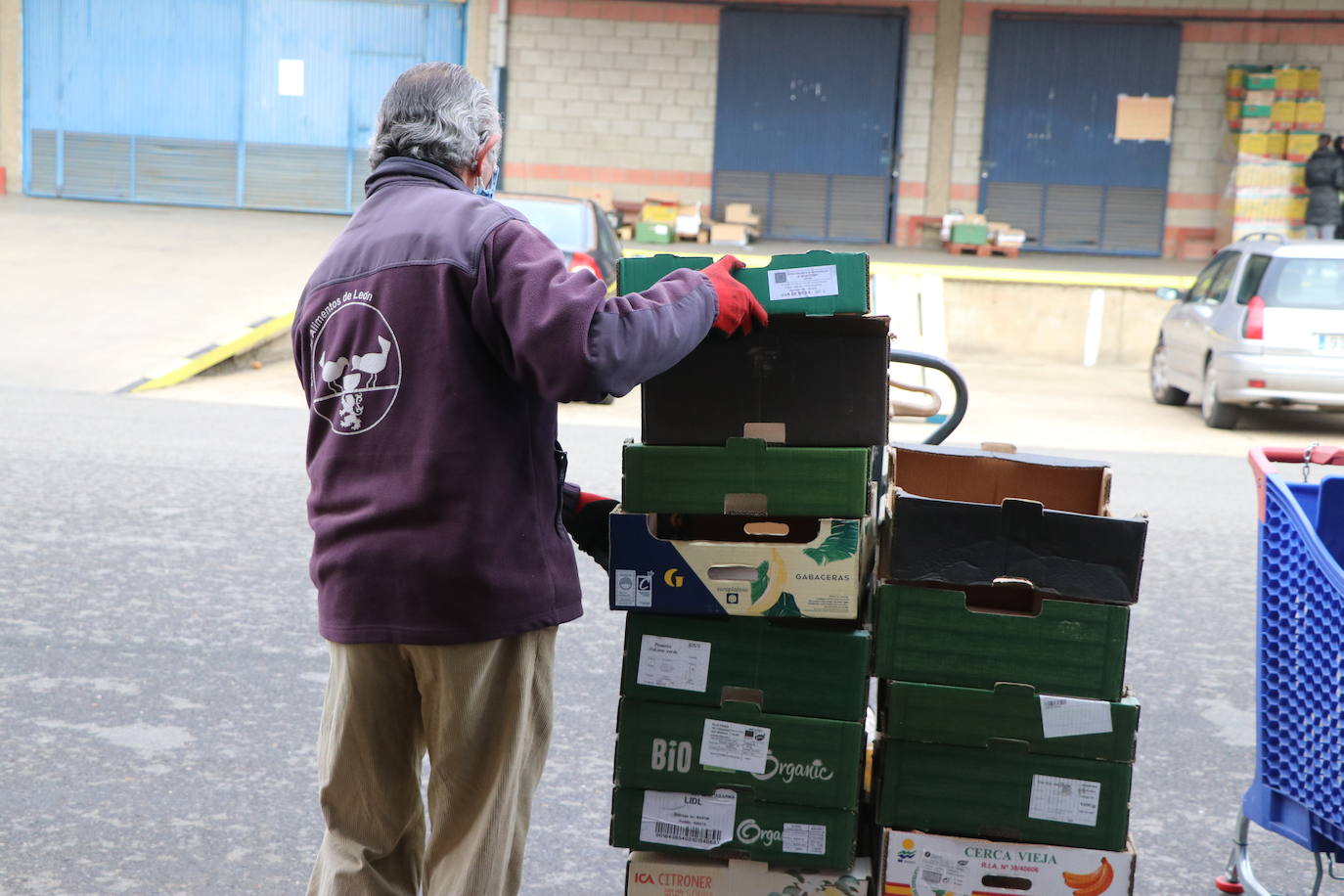 Desde el Banco de Alimentos de León señalan al sistema de donativos en caja como una de las causas de la disminución casi un 50% de lo recaudado respecto a 2020 y a la aparente 'nueva normalidad' que no es tal | Más de 1.000 familias se beneficiarán de estas donaciones fundamentales en fechas navideñas.