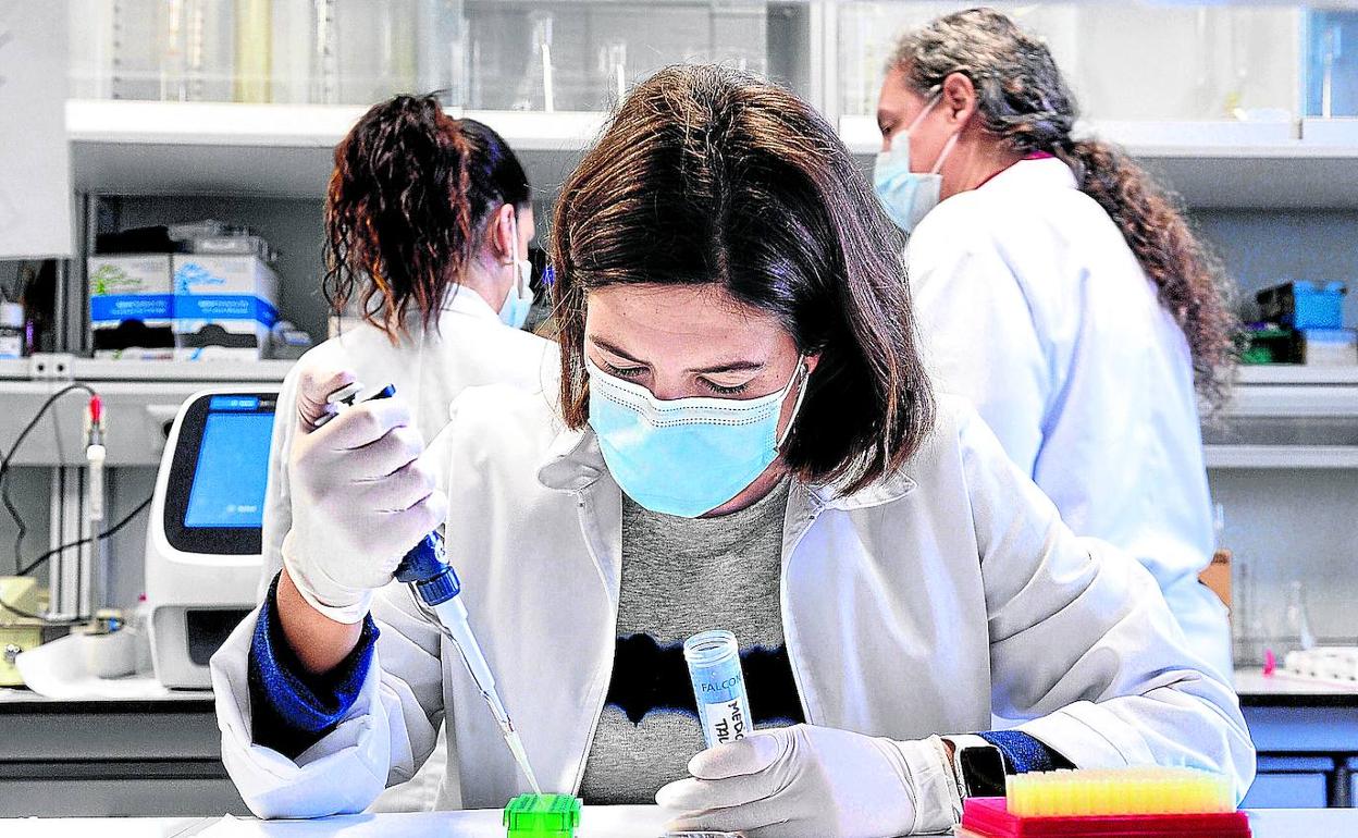 Científicas realizan ensayos en un laboratorio del Instituto de Biología y Genética Molecular, asociado al CSIC. 