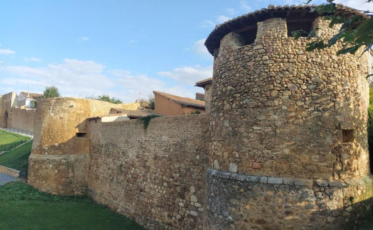 La recuperación de la muralla de Almanza avanza con una nueva intervención  con 167.800 euros | leonoticias.com