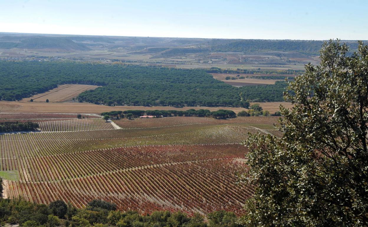 Vista del Valle del Duero. 