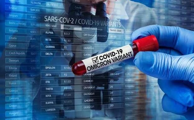 La variante del coronavirus ómicron. 