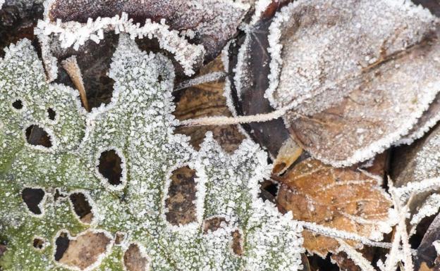 León se prepara para continuar con alerta por heladas y temperaturas de hasta -6 grados en zoans de montaña.