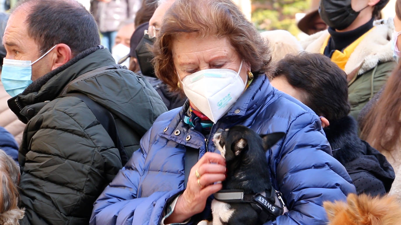 León recupera la tradición más popular de San Antón que el año pasado se canceló por la pandemia | Decenas de animales han recibido en San Marcelo su bendición que en esta ocasión ha sido colectiva desde el Ayuntamiento a pesar del frío y con el abrigo del sol de enero