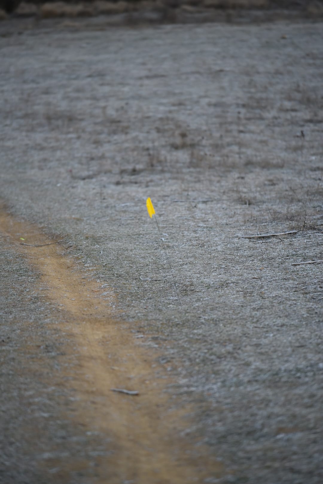 Participantes en la Transcandamia 2022 en la categoría de andarines