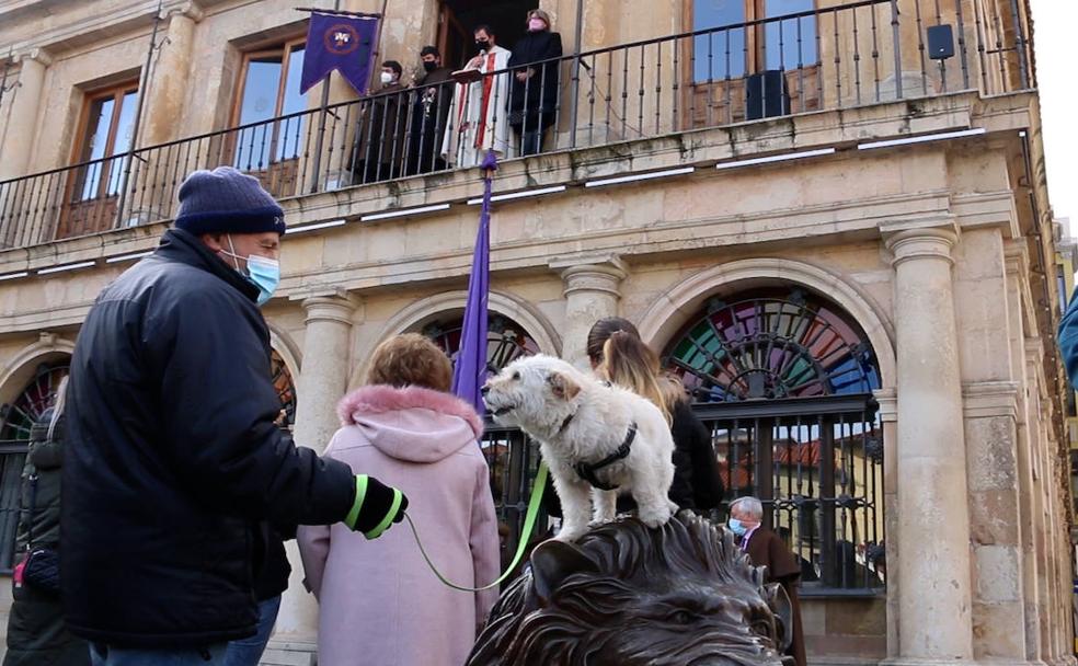 La tradicional bendición por el Día de San Antón se adapta a la pandemia y serealiza desde un balcón del Ayuntamiento de San Marcelo.