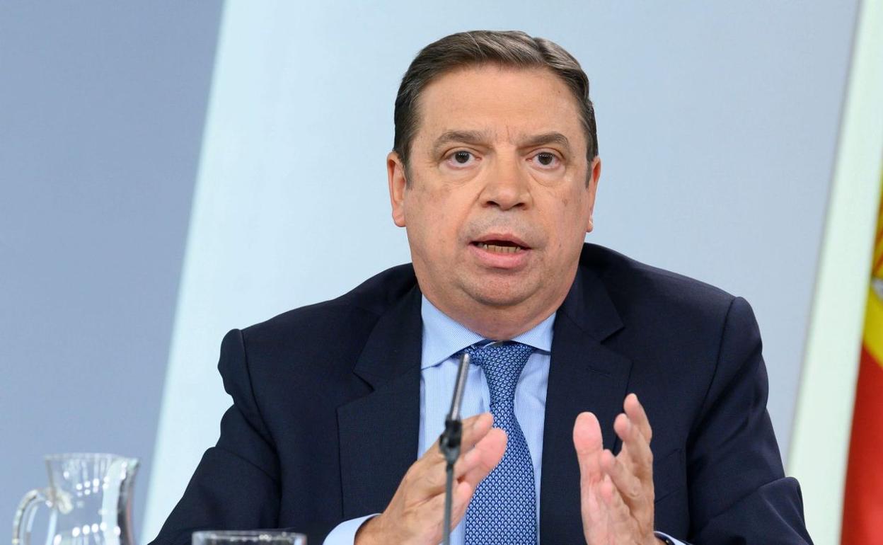El ministro de Agricultura acude a León este jueves para arropar a la socialista Nuria Rubio