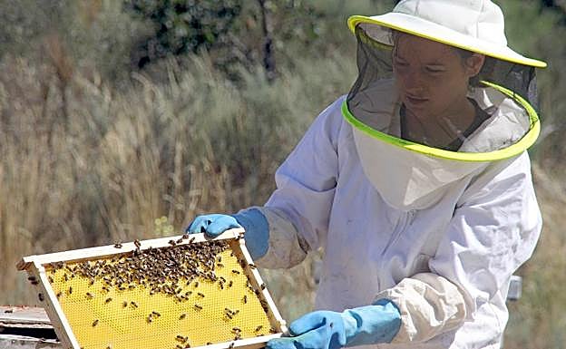Una apicultora junto a una colmena. El desarrollo del sector es clave en la provincia de León. 