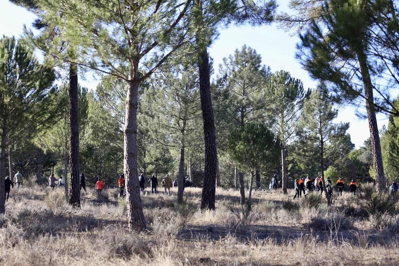 Amplio dispositivo para encontrar a la joven Esther López, desaparecida en Traspinedo el pasado 12 de enero.