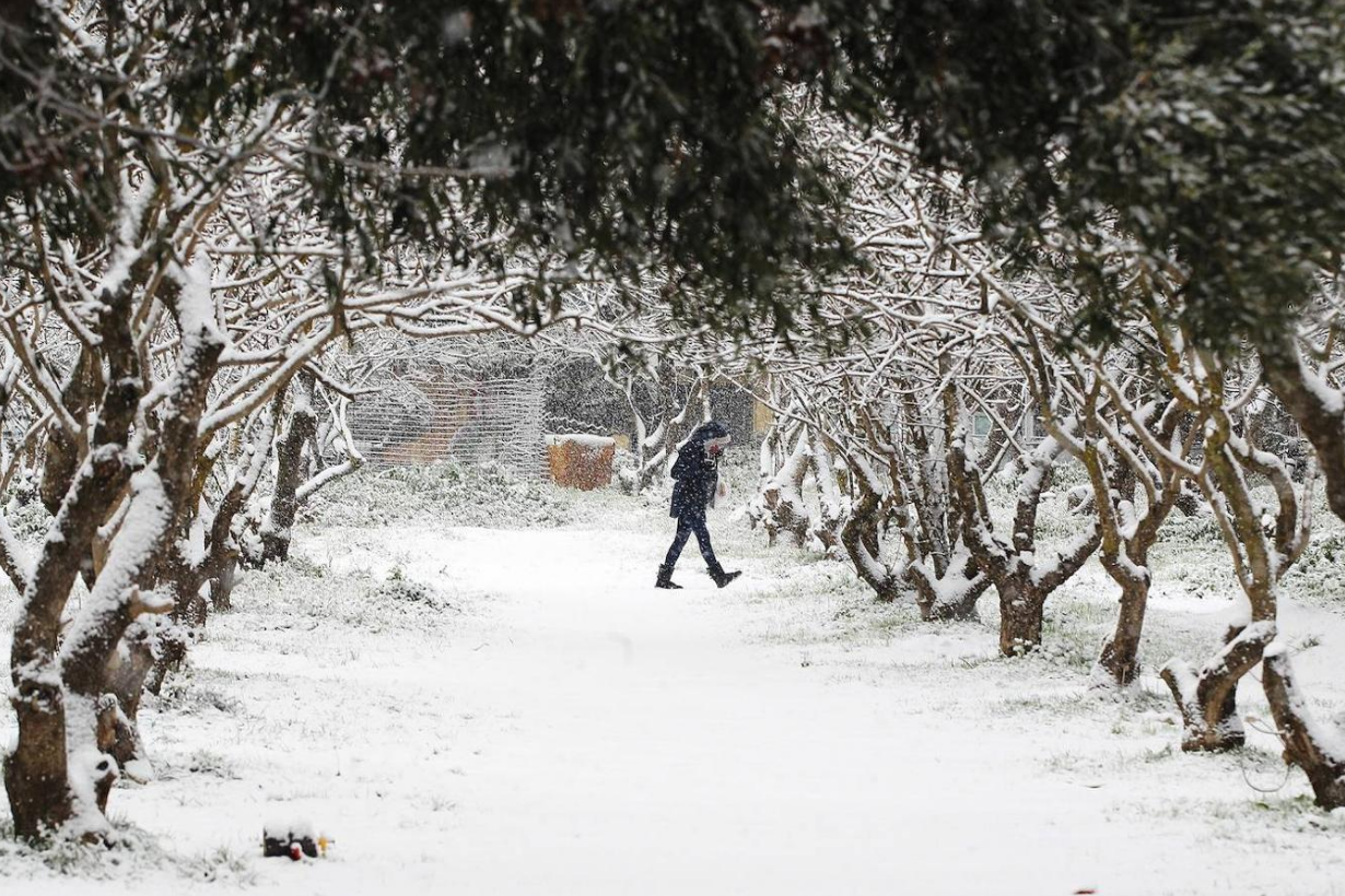 Fotos: La Acrópolis de Atenas, bajo la nieve