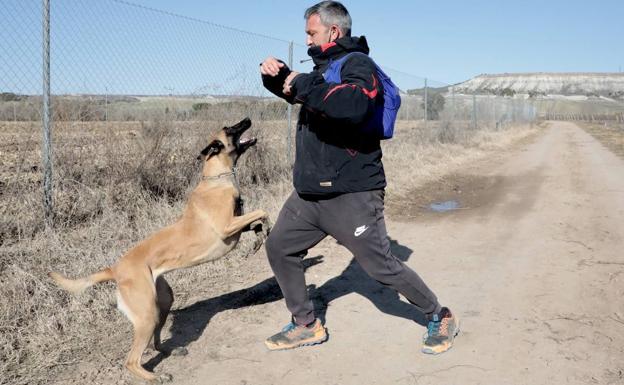 Galería. David y Luna, este miércoles, durante su rastreo por la zona. 