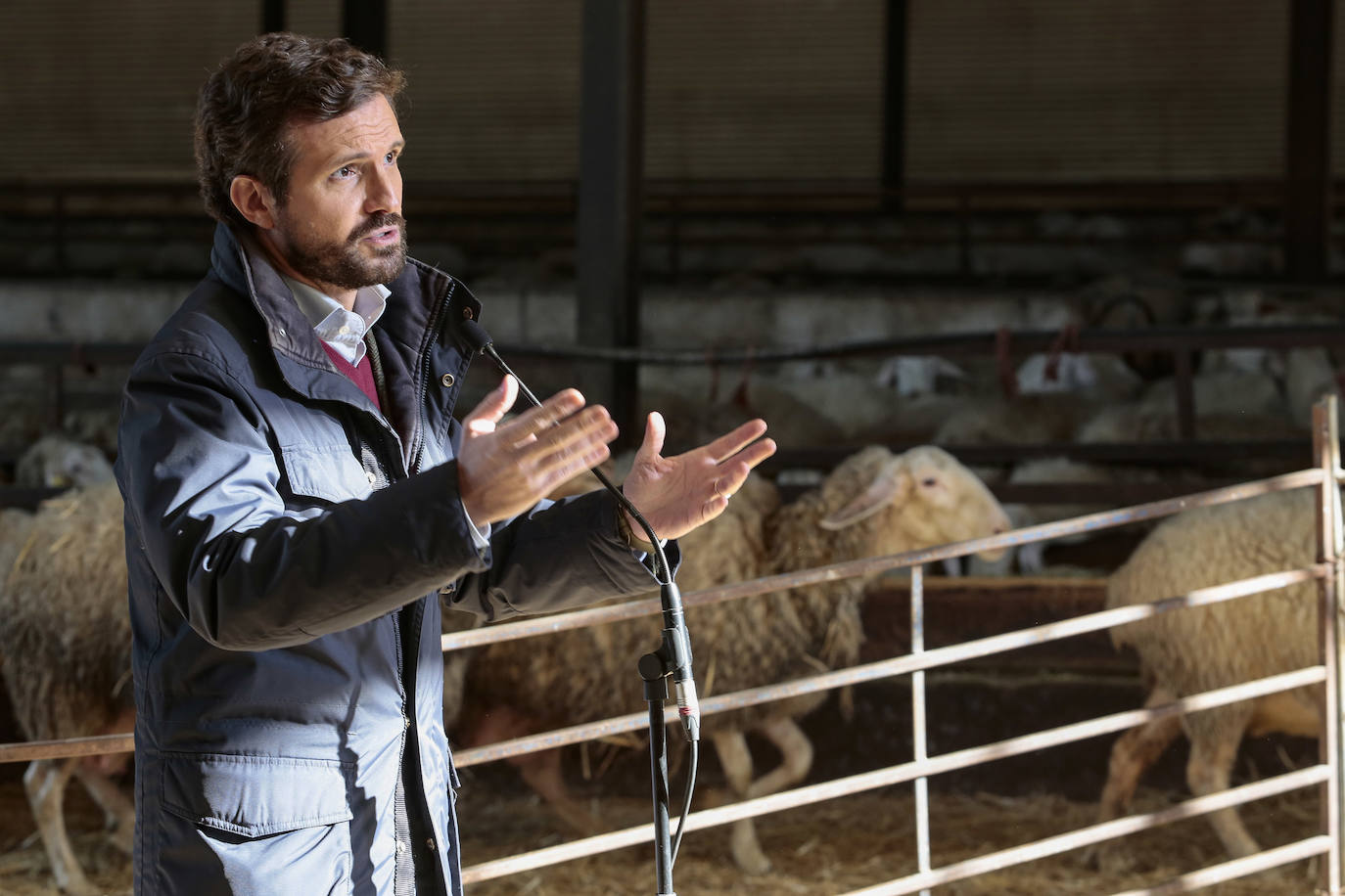 El presidente del Partido Popular, Pablo Casado, visita una quesería en Matadeón de los Oteros y recorre las calles de la localidad.