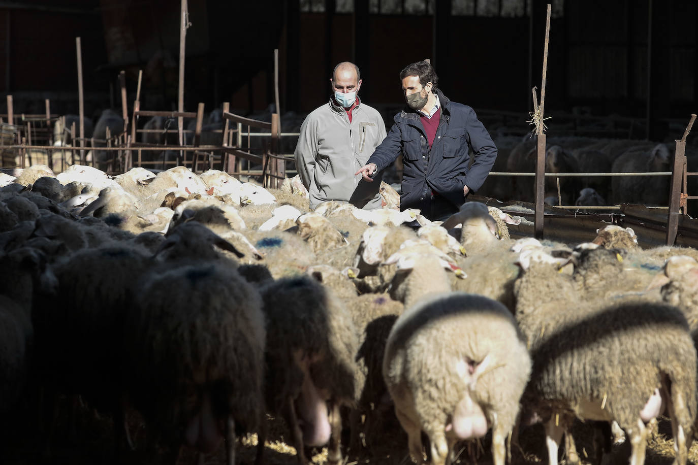El presidente del Partido Popular, Pablo Casado, visita una quesería en Matadeón de los Oteros y recorre las calles de la localidad.